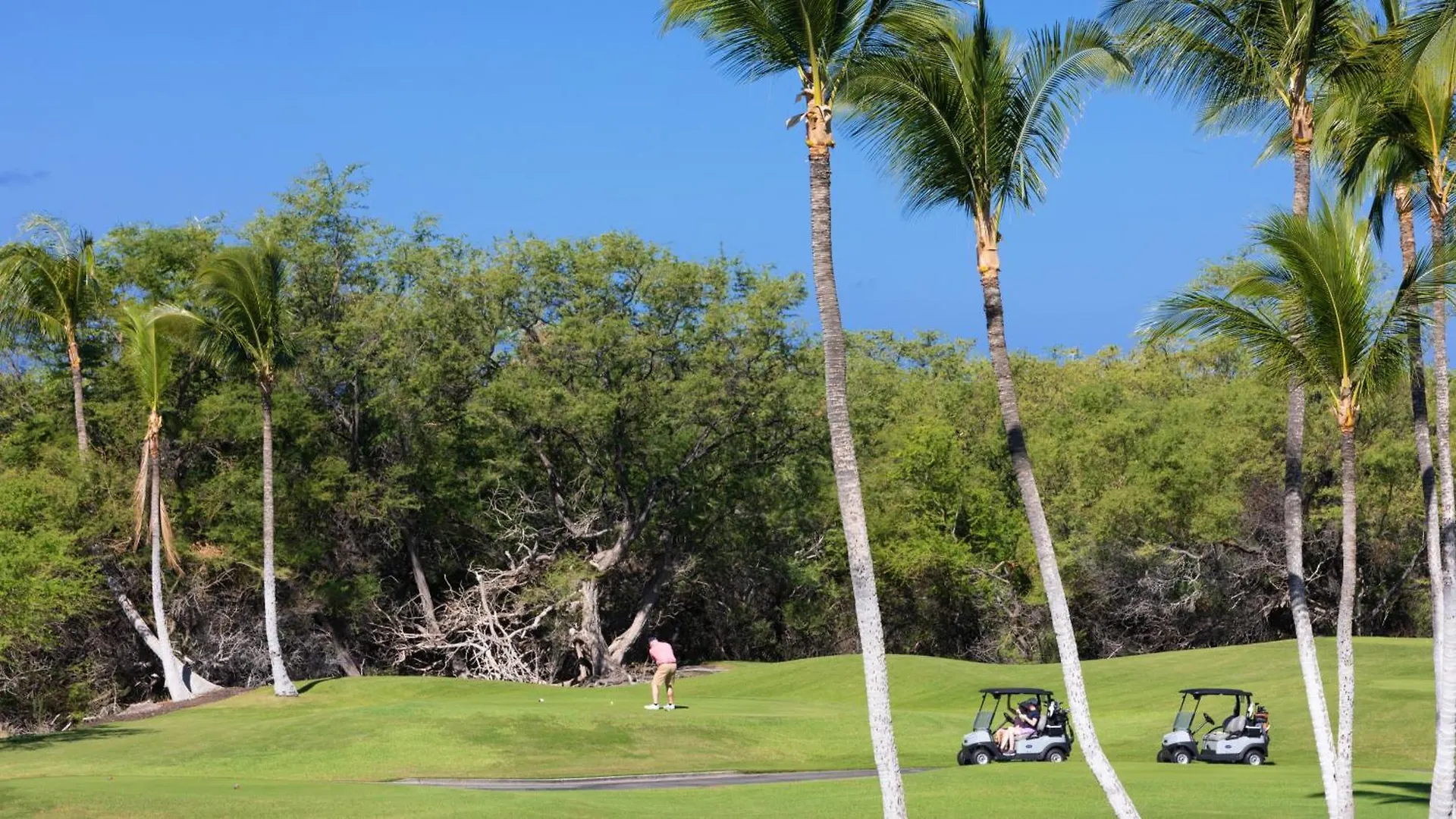 Heavenly Days Stunning Views From Kamilo 3Br Home With Heated Pool Waikoloa Holiday home