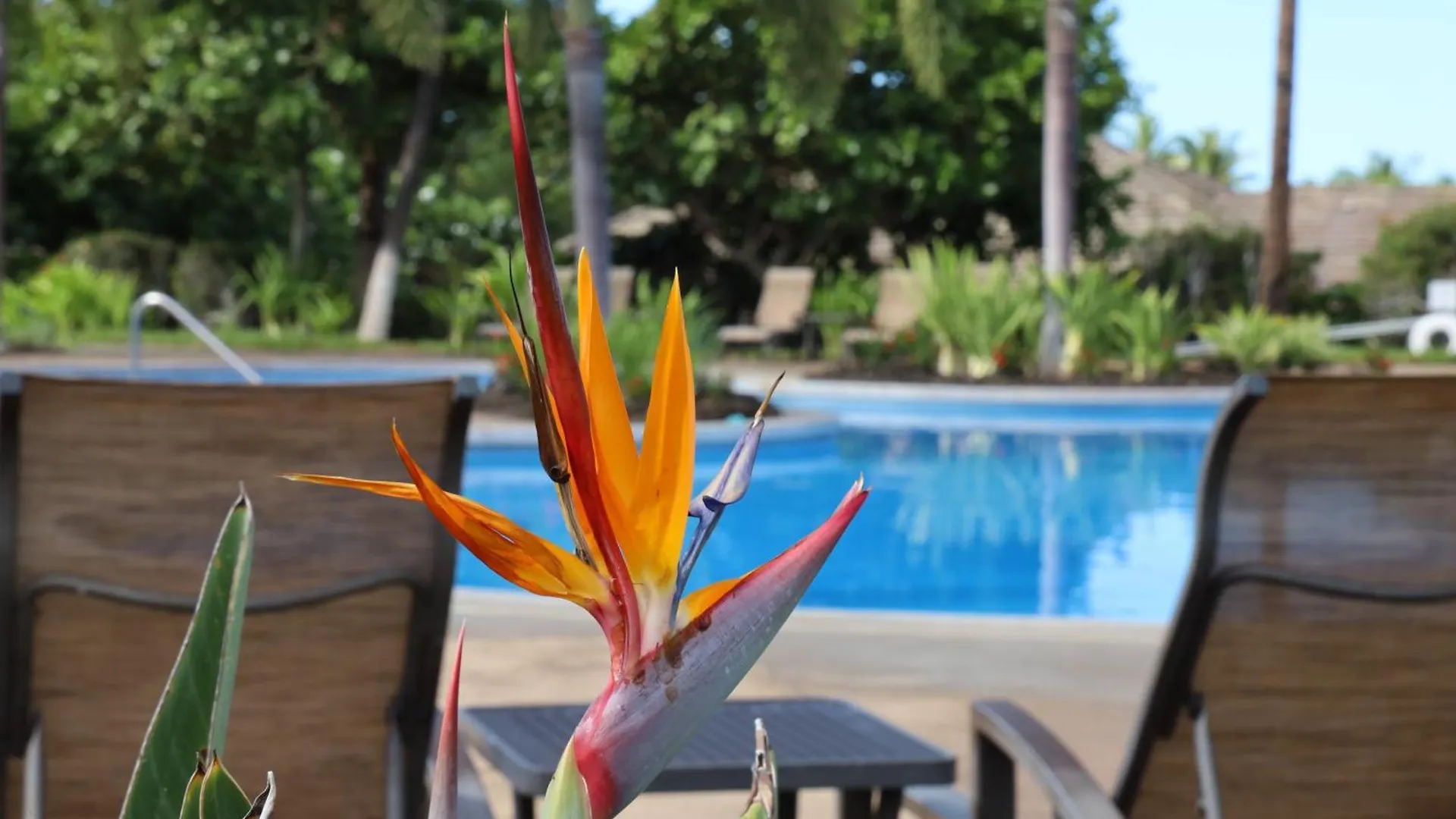 Heavenly Days Stunning Views From Kamilo 3Br Home With Heated Pool Waikoloa Holiday home